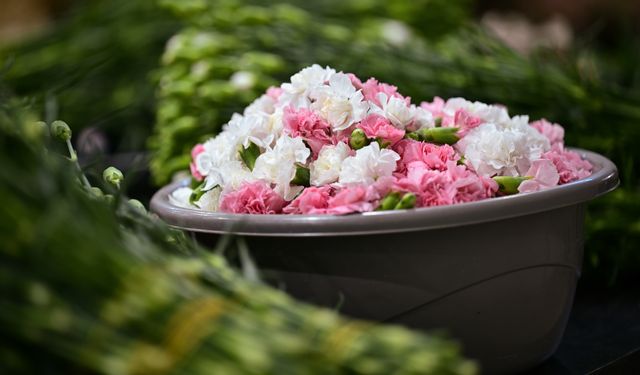 Süs bitkileri ihracatında hedef Körfez ülkeleri oldu