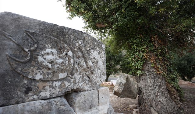 Termessos Antik Kenti doğa ve tarih tutkunlarını büyülüyor