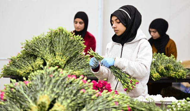 Türkiye’den yılbaşı için 35 ülkeye çiçek ihracatı