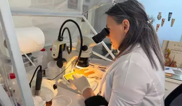 Konservasyon laboratuvarlarında 251 binden fazla eser korundu