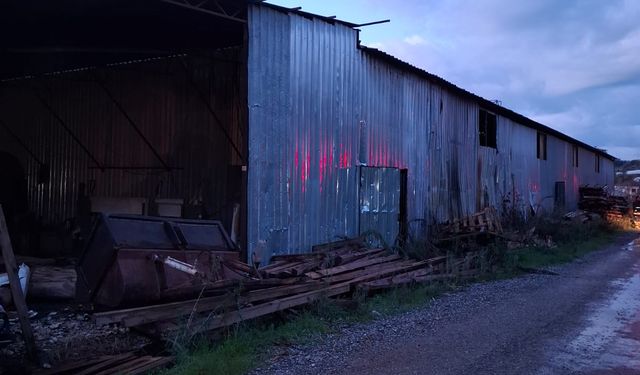 Alanya’da palet fabrikasında yangın