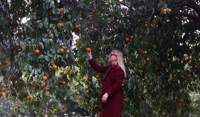 BATEM’deki Turunç Yolu fotoğraf tutkunlarını çekiyor