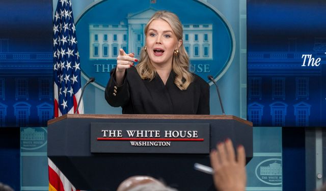 ABD ve Danimarka, Grönland için teknik görüşmelere başlıyor