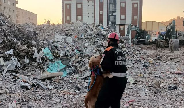 JAK köpeği Ocak, 8 yılda 48 can kurtardı