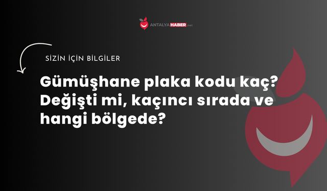 Gümüşhane plaka kodu kaç? Değişti mi, kaçıncı sırada ve hangi bölgede?