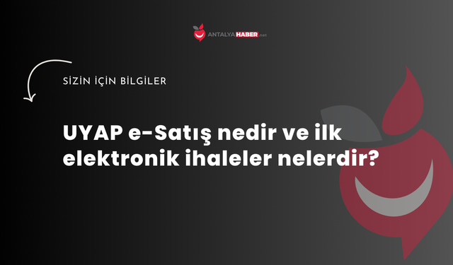 UYAP e-Satış nedir ve ilk elektronik ihaleler nelerdir?