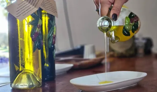 Tavşan yüreği zeytinyağı kanser araştırmasında dikkat çekti