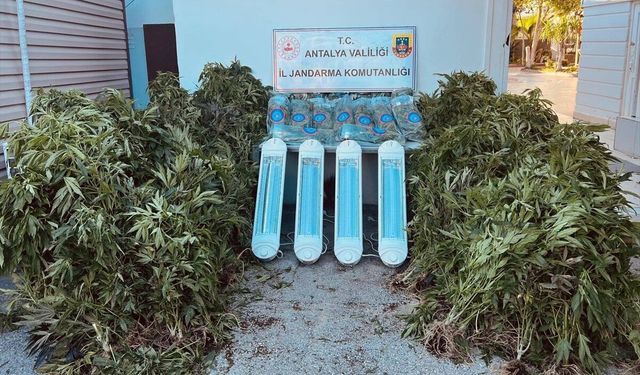 Aksu’da uyuşturucu operasyonu: 1 gözaltı