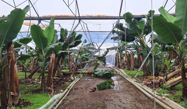 Antalya’daki sel için 586 milyon TL destek