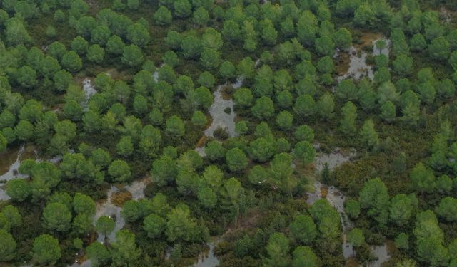 Aksu’da hortum sonrası hasar gören tekneler kaldırılıyor