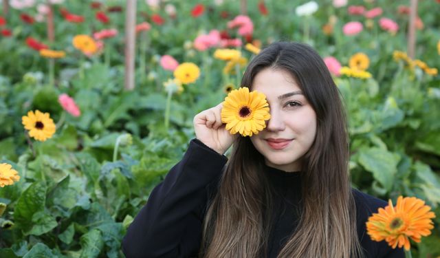 Antalya kesme çiçek ihracatında rekor kırdı
