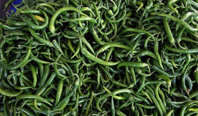 Batı Akdeniz’de biber ihracatı lider oldu