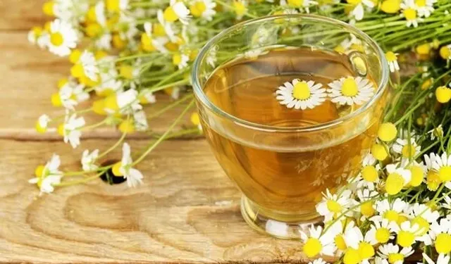 Bitki çayı idrar yolu enfeksiyonuna iyi gelir mi?