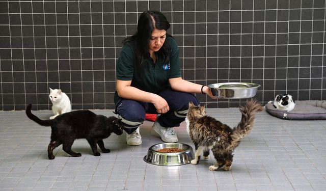 Antalya Büyükşehir’de 3 bin 324 kadın personel görev yapıyor