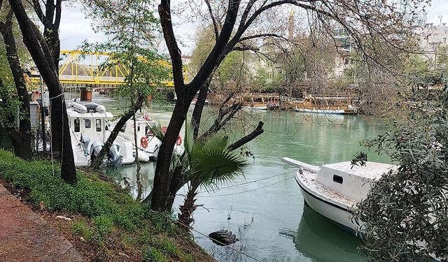 Manavgat Irmağı’nda kadın cesedi bulundu