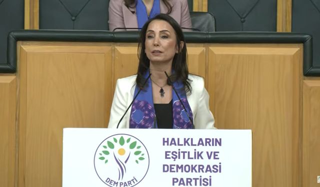 Tülay Hatimoğulları: AİHM ve AYM kararları uygulanmalı