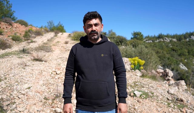 Antalya’da kaçak köpek üretimine 327 bin TL ceza