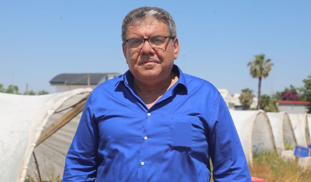 Antalya çileğinde fiyat farkı: halde 30 TL market 150 TL