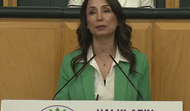 DEM Parti'li Hatimoğulları’ndan çerçeve yasa çağrısı