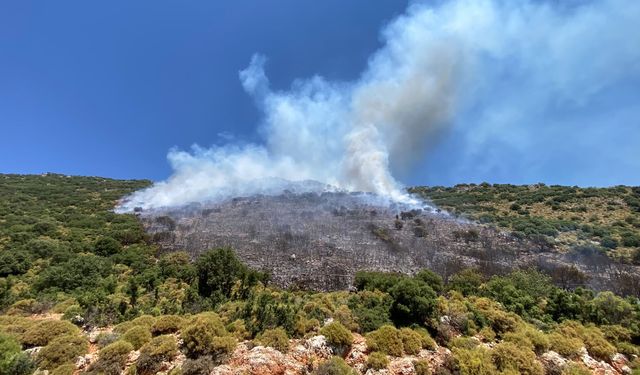Demre’de orman yangınına müdahale sürüyor