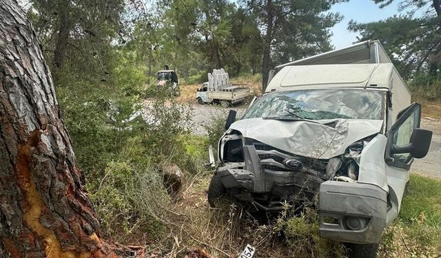 Alanya’da kamyonet ağaca çarptı: 1 ölü, 1 ağır yaralı