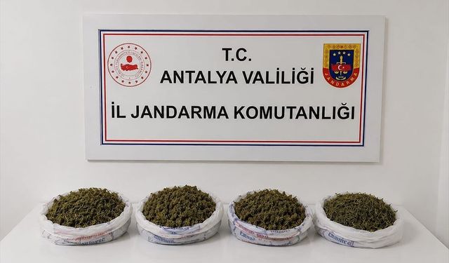 Alanya’da uyuşturucu operasyonu: 1 gözaltı