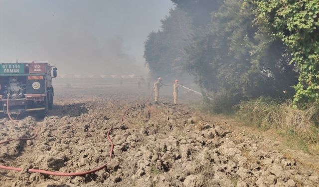 Serik’te anız yangını seraya sıçradı