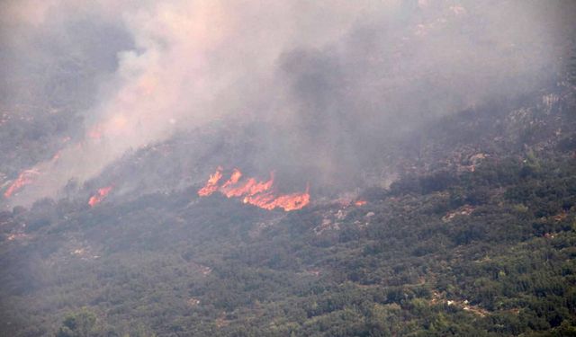Antalya’da 3 günde 34 yangın: 8 ilçe alevlerle mücadele etti