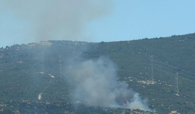 Bornova’da orman yangınına müdahale sürüyor