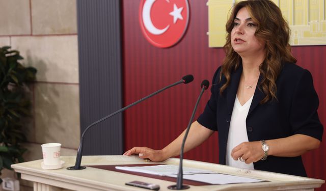DEM Parti’den çerçeve yasa açıklaması