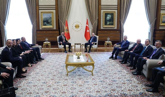 Erdoğan, Karadağ Başbakanı Spajic’i kabul etti