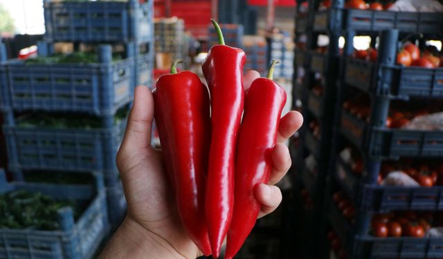 Kaş kapya biberi ihracatta öne çıkıyor