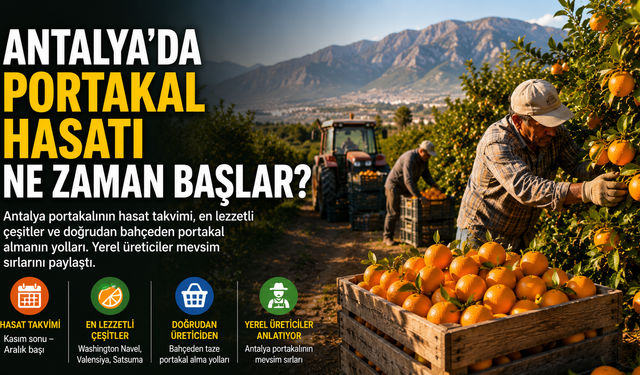 Antalya'da portakal hasatı ne zaman başlar?