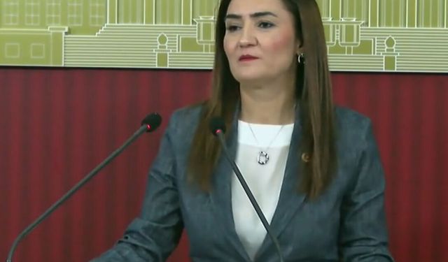 CHP: Çerçeve yasaya attığımız imza açık çek değil