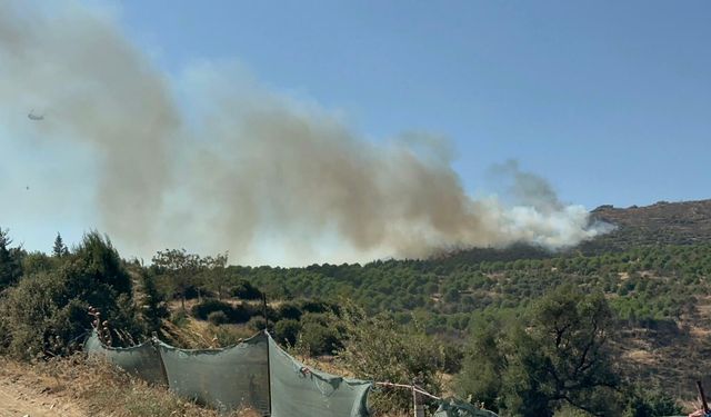 İzmir Ödemiş’te orman yangını çıktı