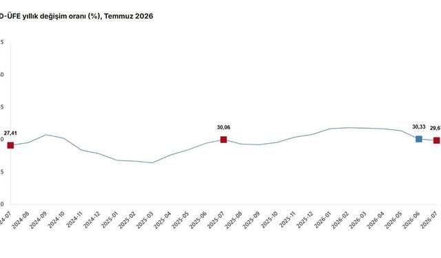 TÜİK: Yurt dışı üretici fiyatları temmuzda arttı