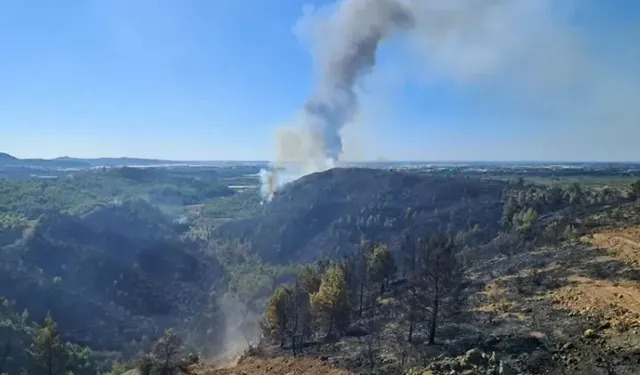 Serik’teki orman yangını 9 saat sonra kontrol altına alındı