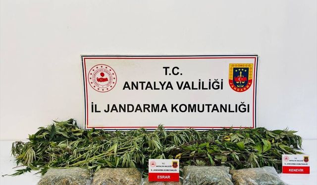 Alanya’da uyuşturucu operasyonunda 1 şüpheli yakalandı