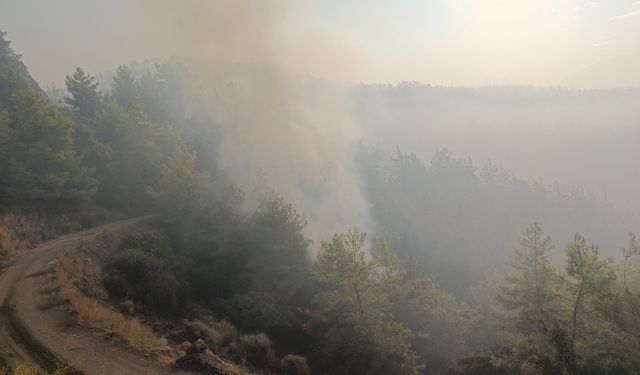 Kumluca’daki orman yangınına müdahale sürüyor