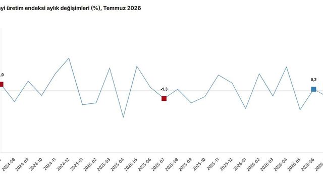 TÜİK: Sanayi üretimi yıllık yüzde 0,3 azaldı