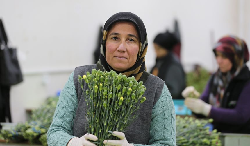 Dünya Kadınlarına Türkiye'den 75 Milyon Dal Çiçek