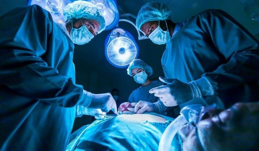 Akdeniz'de 6 bin 772 organ nakli yapıldı