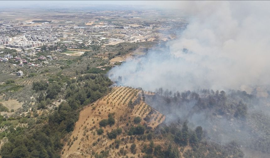 Hatay'da Ormanlık Alanda Yangın Çıktı