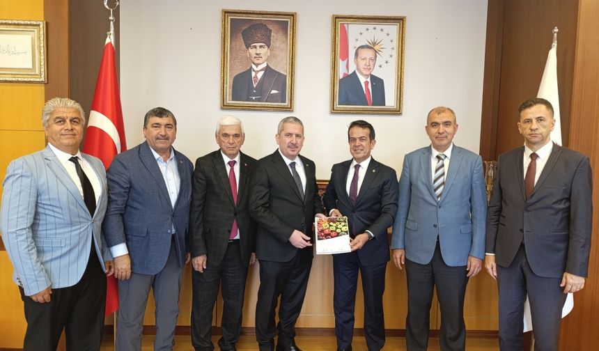ATAK’tan yaş meyve sebze sektörü için kapsamlı rapor