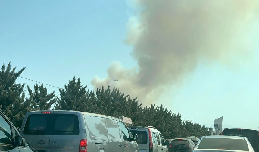 Antalya’da iki ayrı noktada orman yangını çıktı