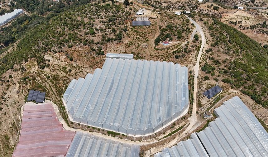 Antalya’da tropikal bahçelere kurulan GES tasarruf sağladı