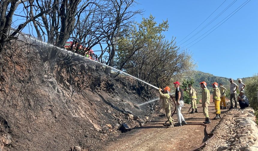 Kumluca’da orman yangını büyümeden söndürüldü