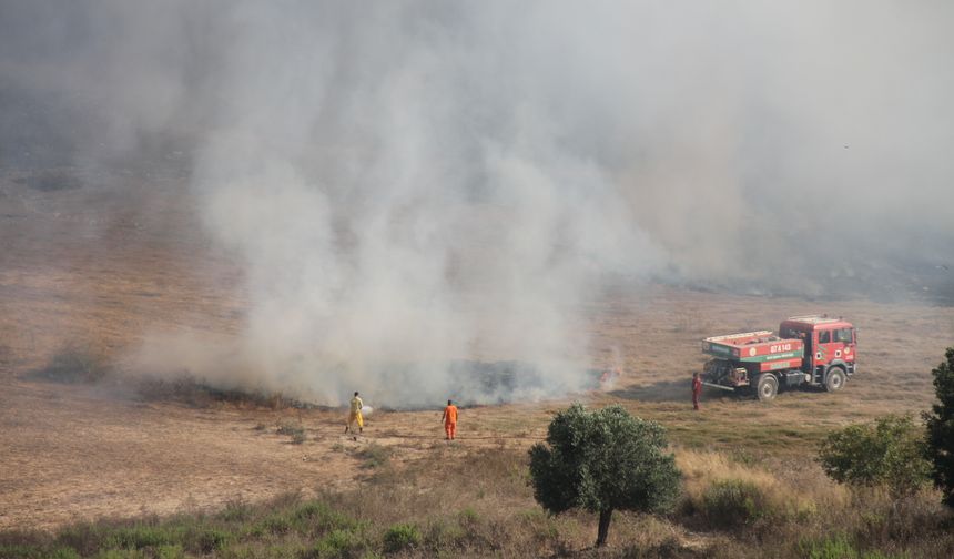 Antalya Serik’te anız yangını zeytinliklere sıçradı