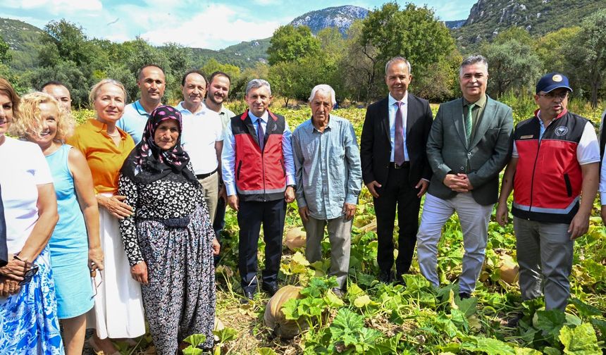 Antalya’da tarla gününde Camili bal kabağı hasat edildi