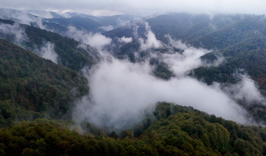 Çam Dağı’nda sonbahar ve sis bulutu büyüledi